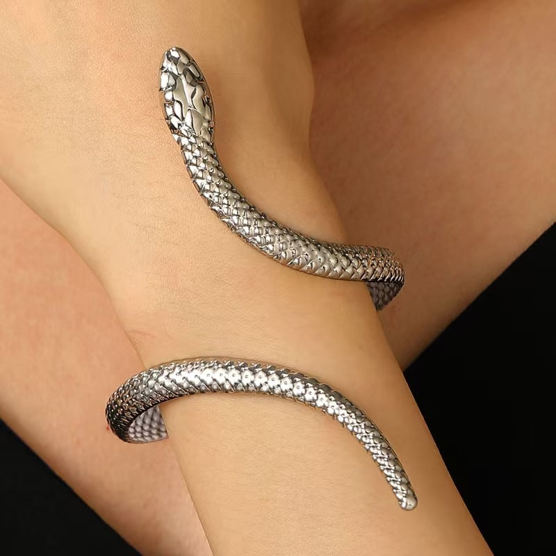 Snake Sieradenset | Statement Ring & Armband