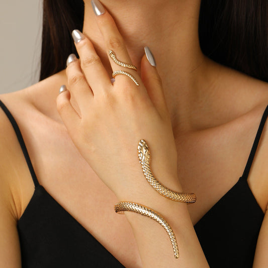 Snake Sieradenset | Statement Ring & Armband